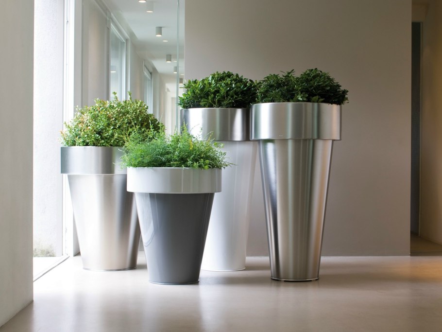 Цветы в гидрогеле