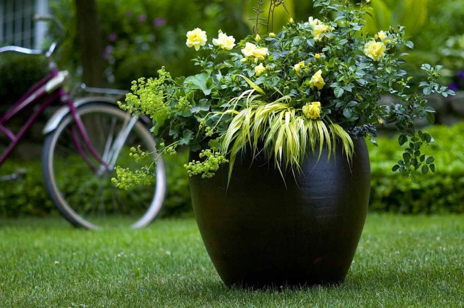 Дизайнерские цветочные горшки