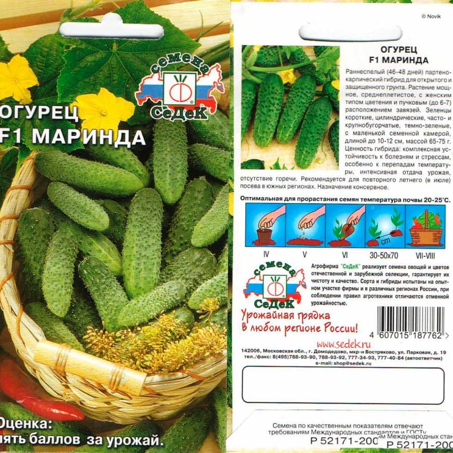 Семена Гавриш AGROELITA огурец Компонист РЗ f1 8 шт.