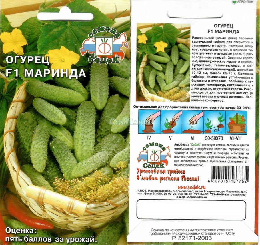 Сорт огурцов Паратунка