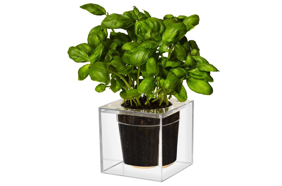 Кашпо вид сверху