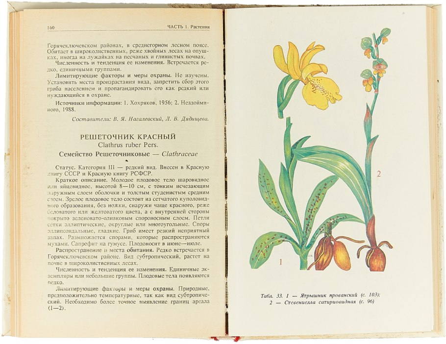 Первоцветы занесенные в красную книгу