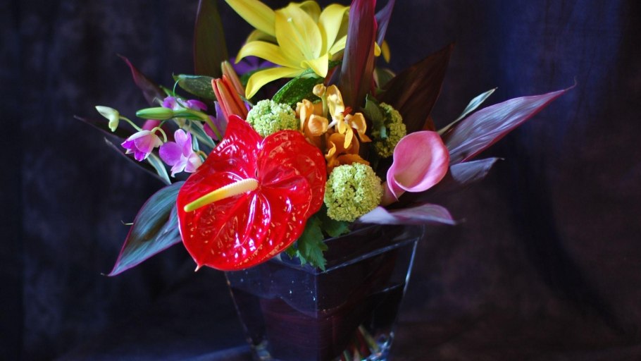 Антуриум Вайолет Харт