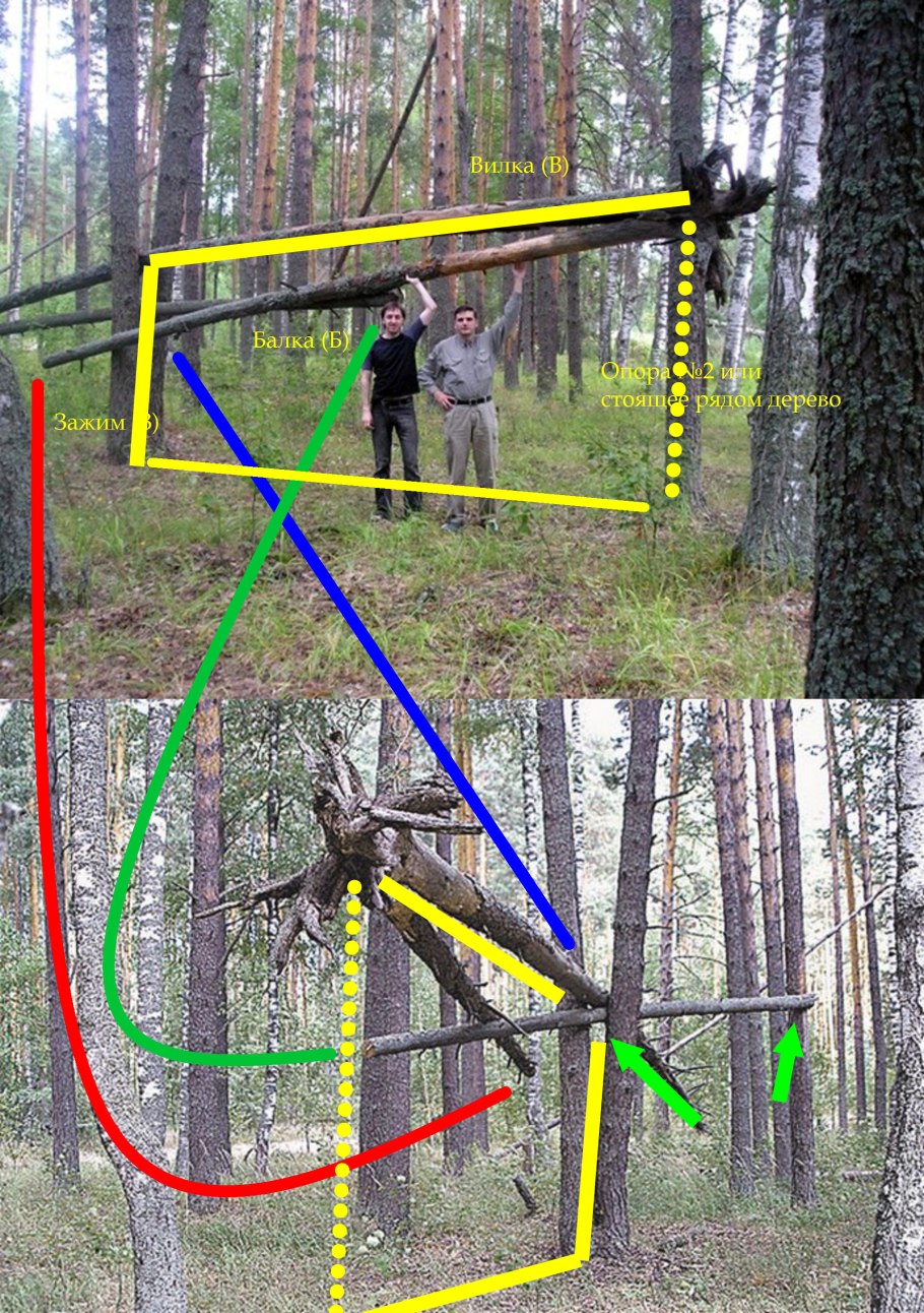 Глухая Тайга бурелом