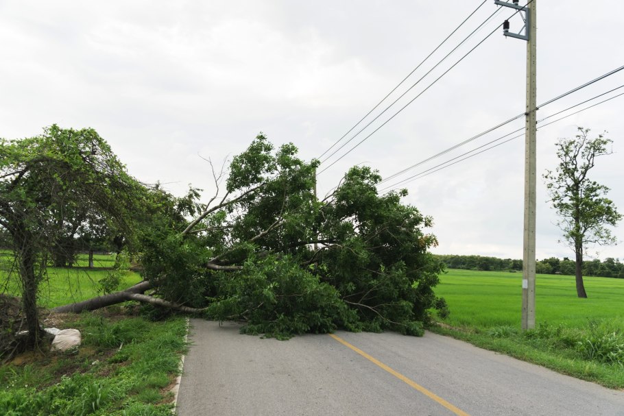 Ураган Тайга