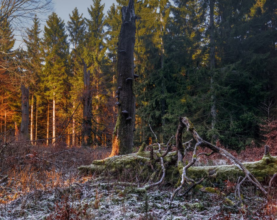 Ветровал Швеция 2003 год