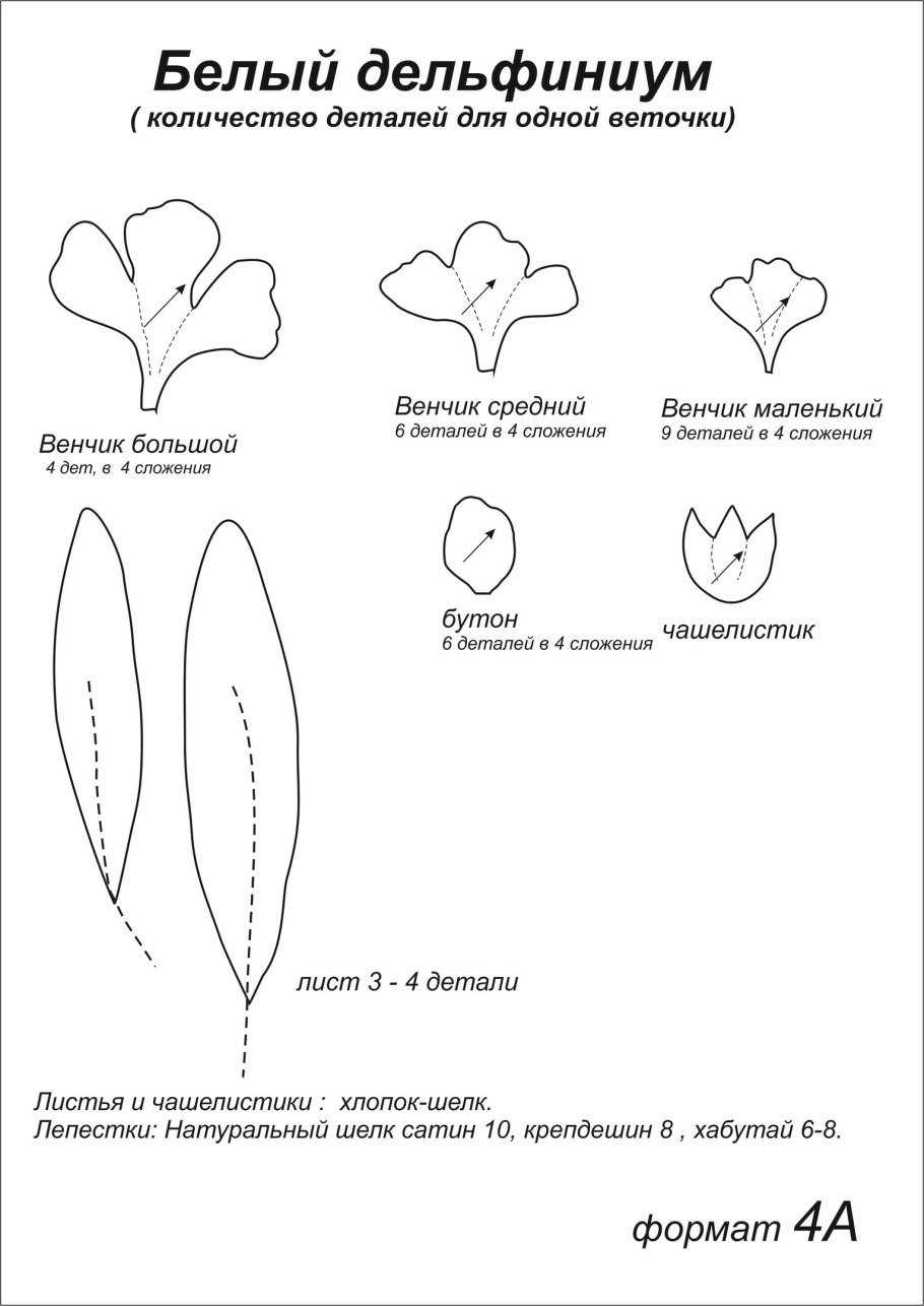 Дельфиниум Ботаническая иллюстрация