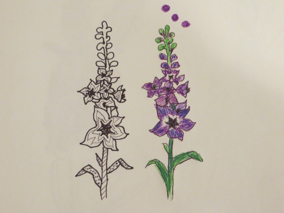 Живокость Полевая ботаника