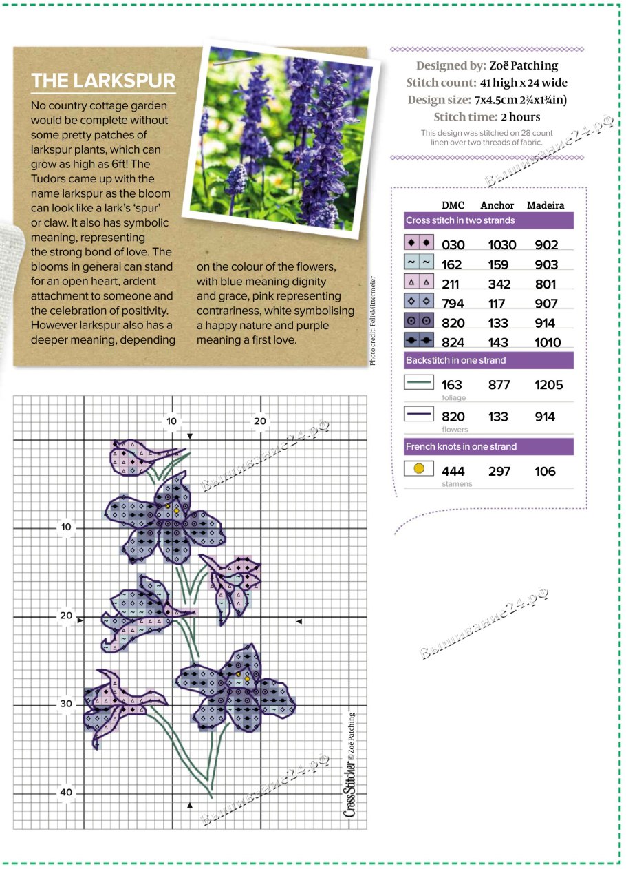 Живокость посевная гербарий