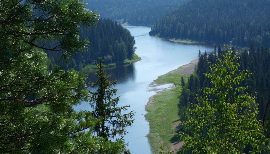 1. Девственные леса Коми