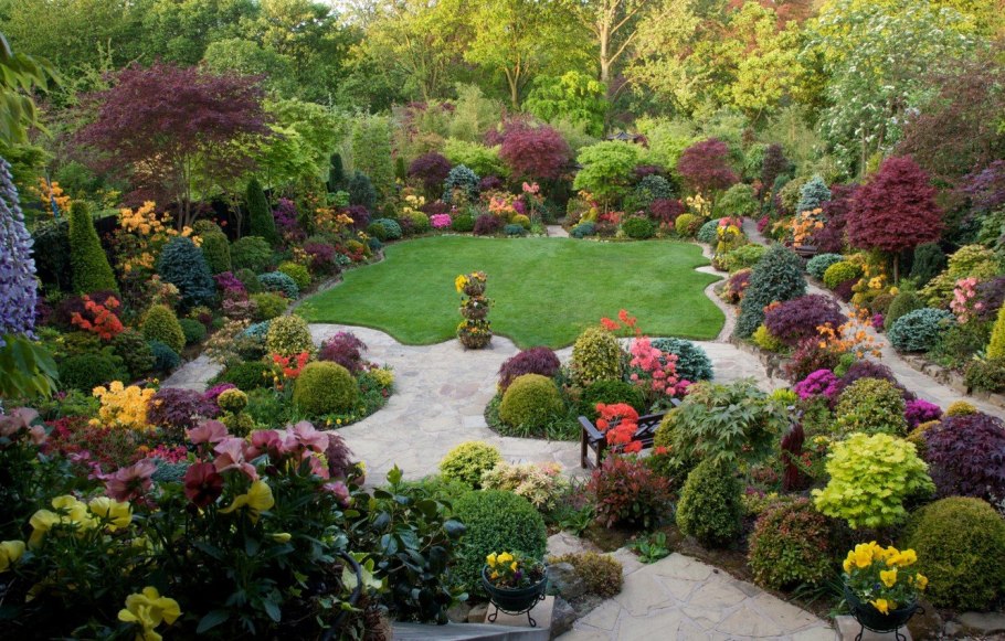 Можжевельник обыкновенный тенелюбивый