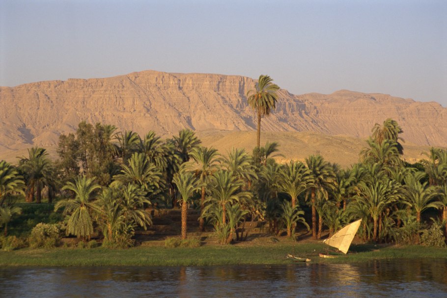 Флора Египта