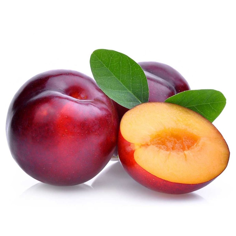 Слива круглая