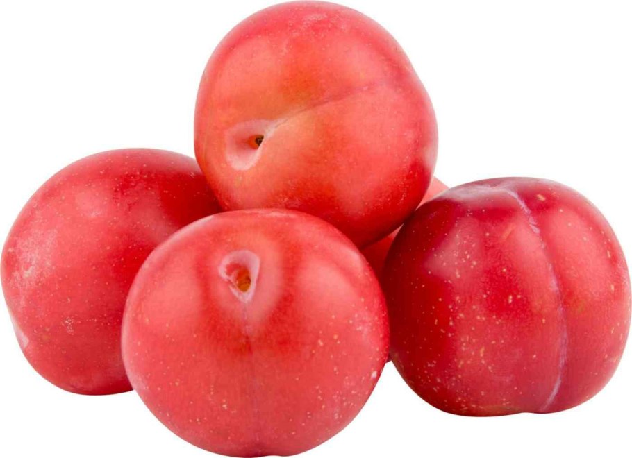 Алыча колоновидная