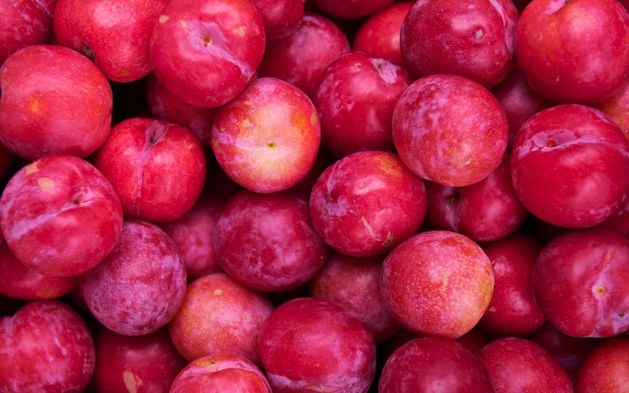 Слива сорт неженка