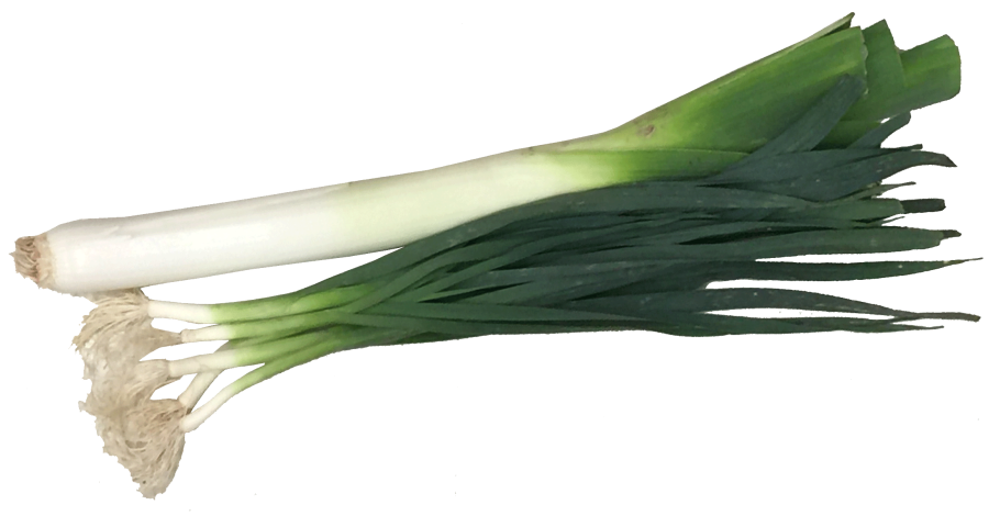 Лук шалот семейный