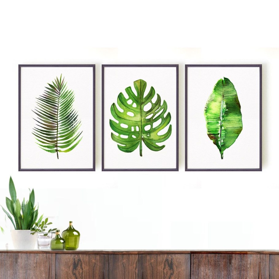 Папоротник пальмы монстера