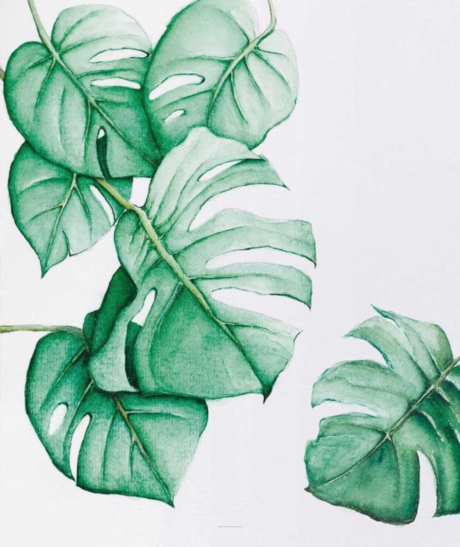 Тропические листья акварелью