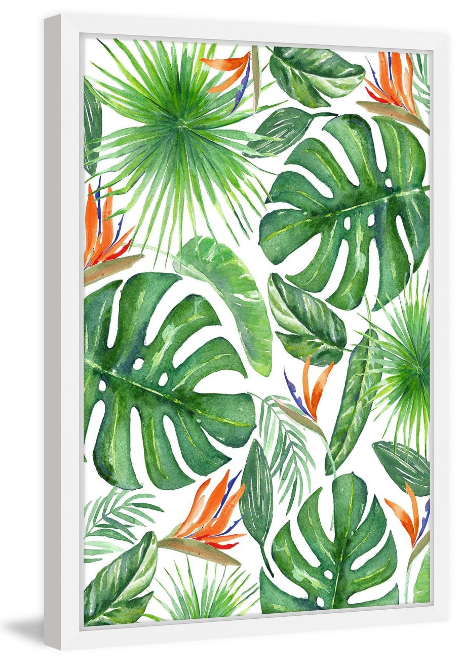 Лист монстеры