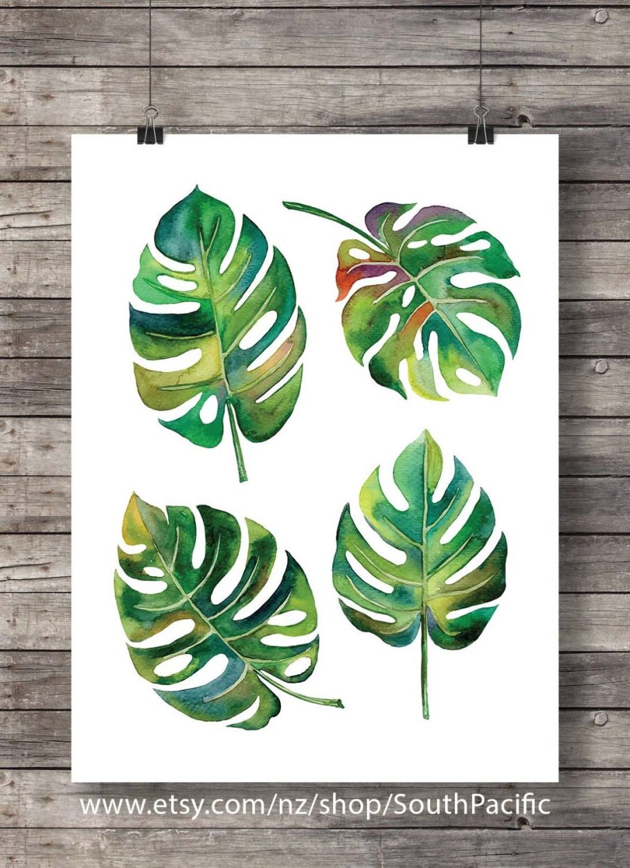 Монстера картинка для детей