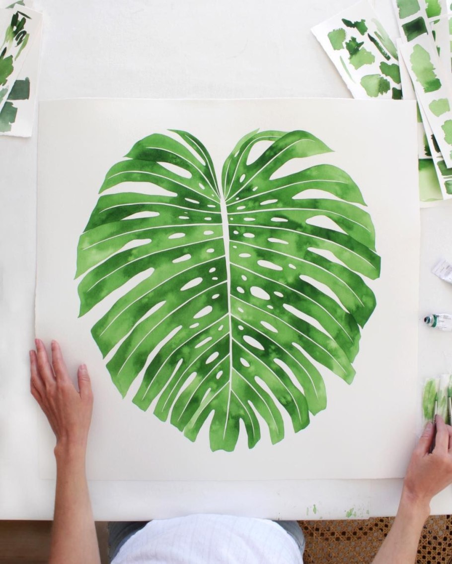 Монстера скетчинг