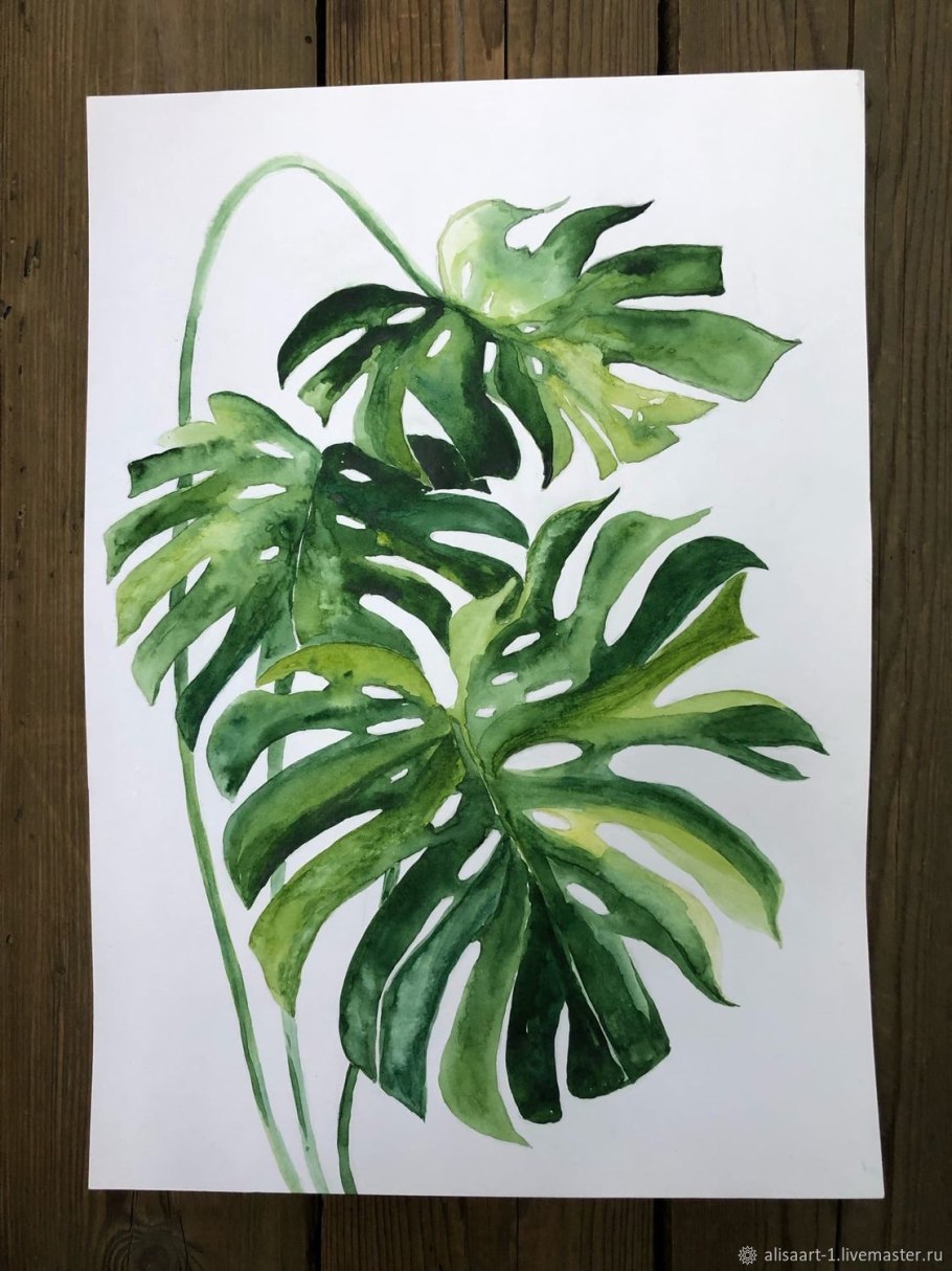 Круглые тропические листья