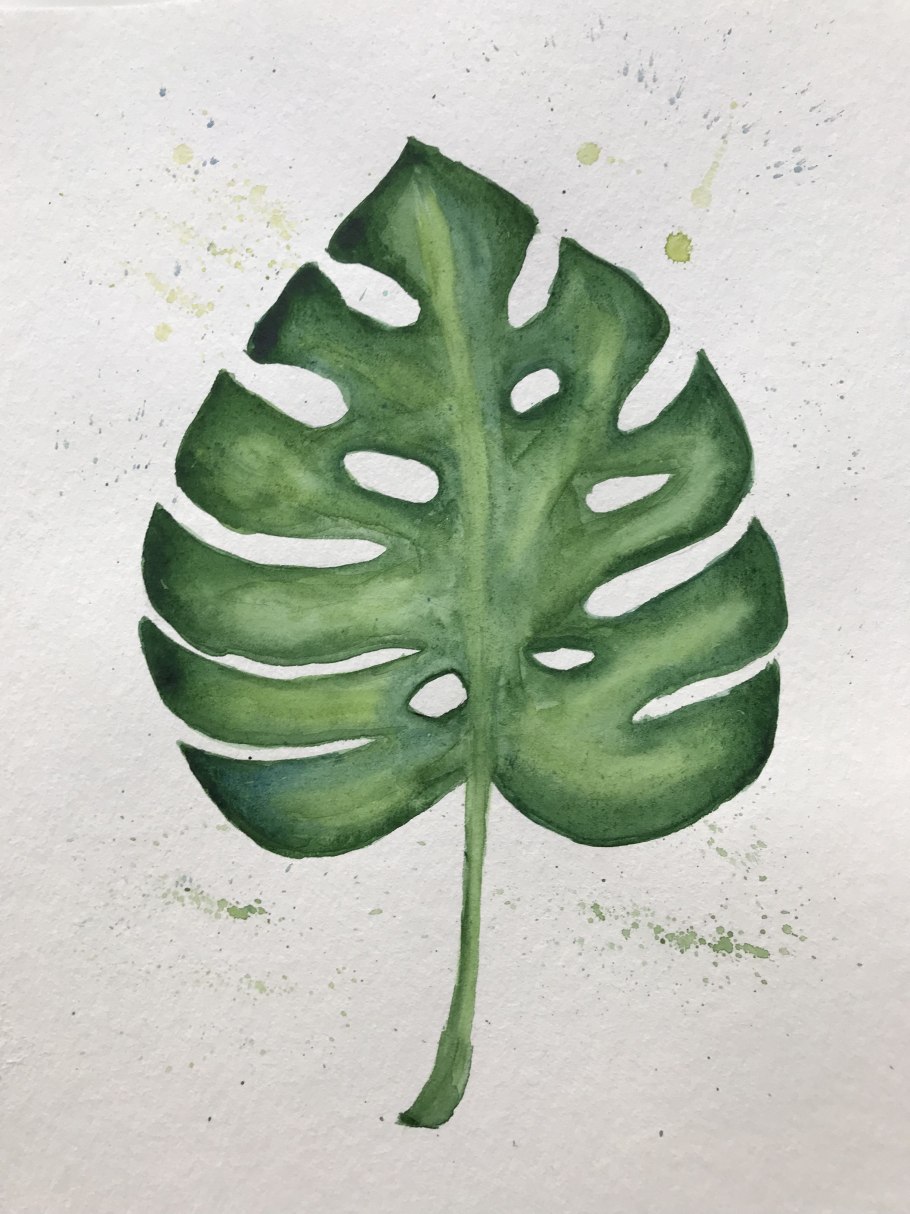 Лист монстера