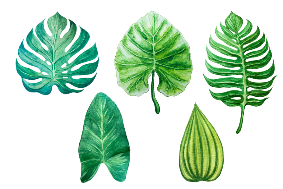 Тропические листья