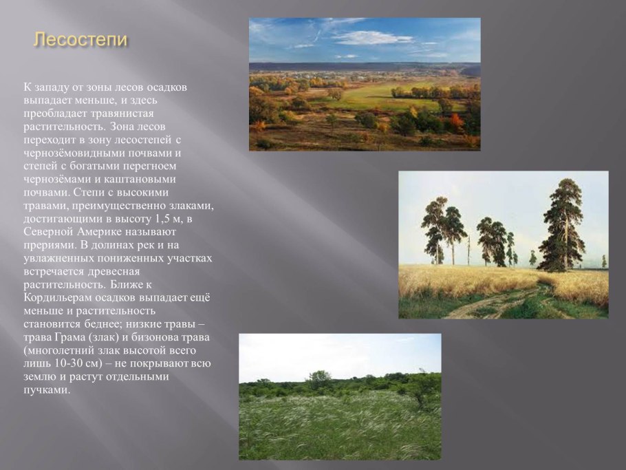 Лесостепь природная зона