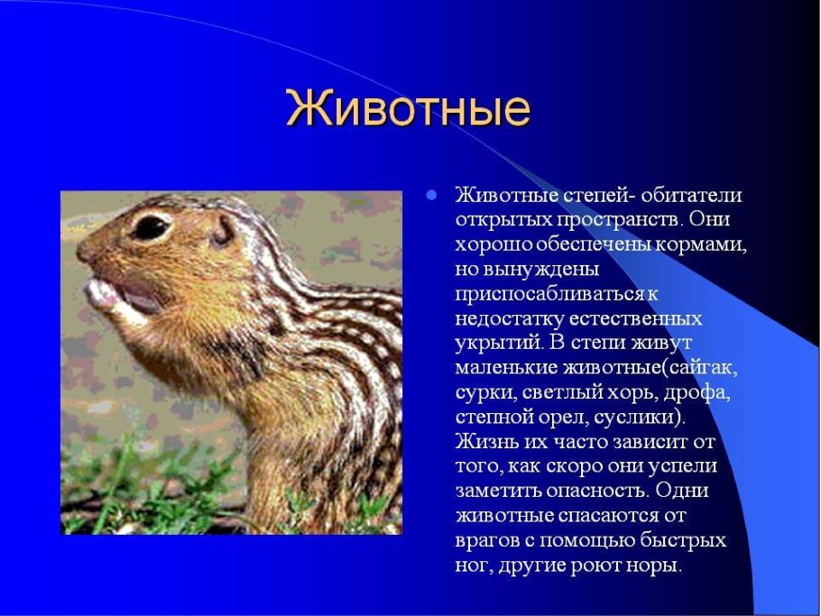 Представители фауны степей