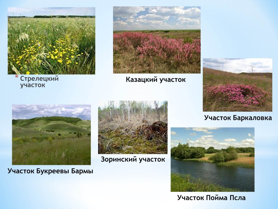 Казацкий участок центрально-черноземного заповедника