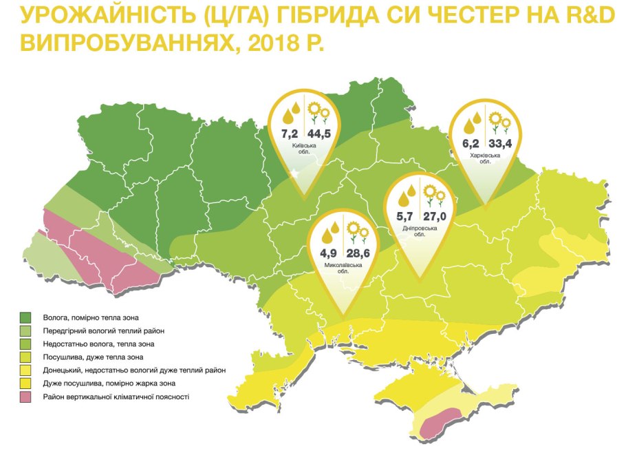 Sunflower семена подсолнечника