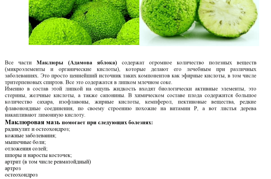 Парша на яблоне