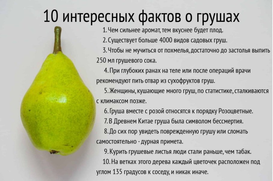 От семечка до дерева