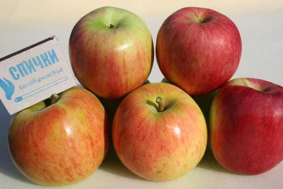 Яблоня винерпо