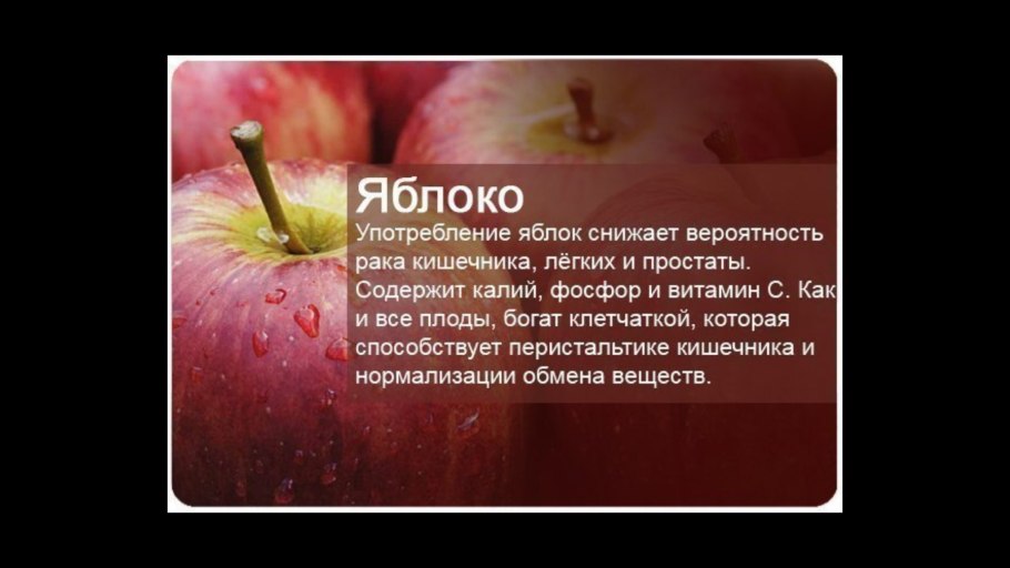 Кандиль китайка