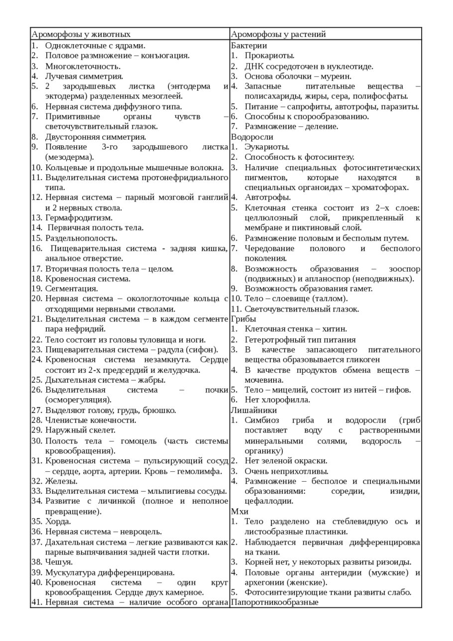 Папоротниковидные споровые растения