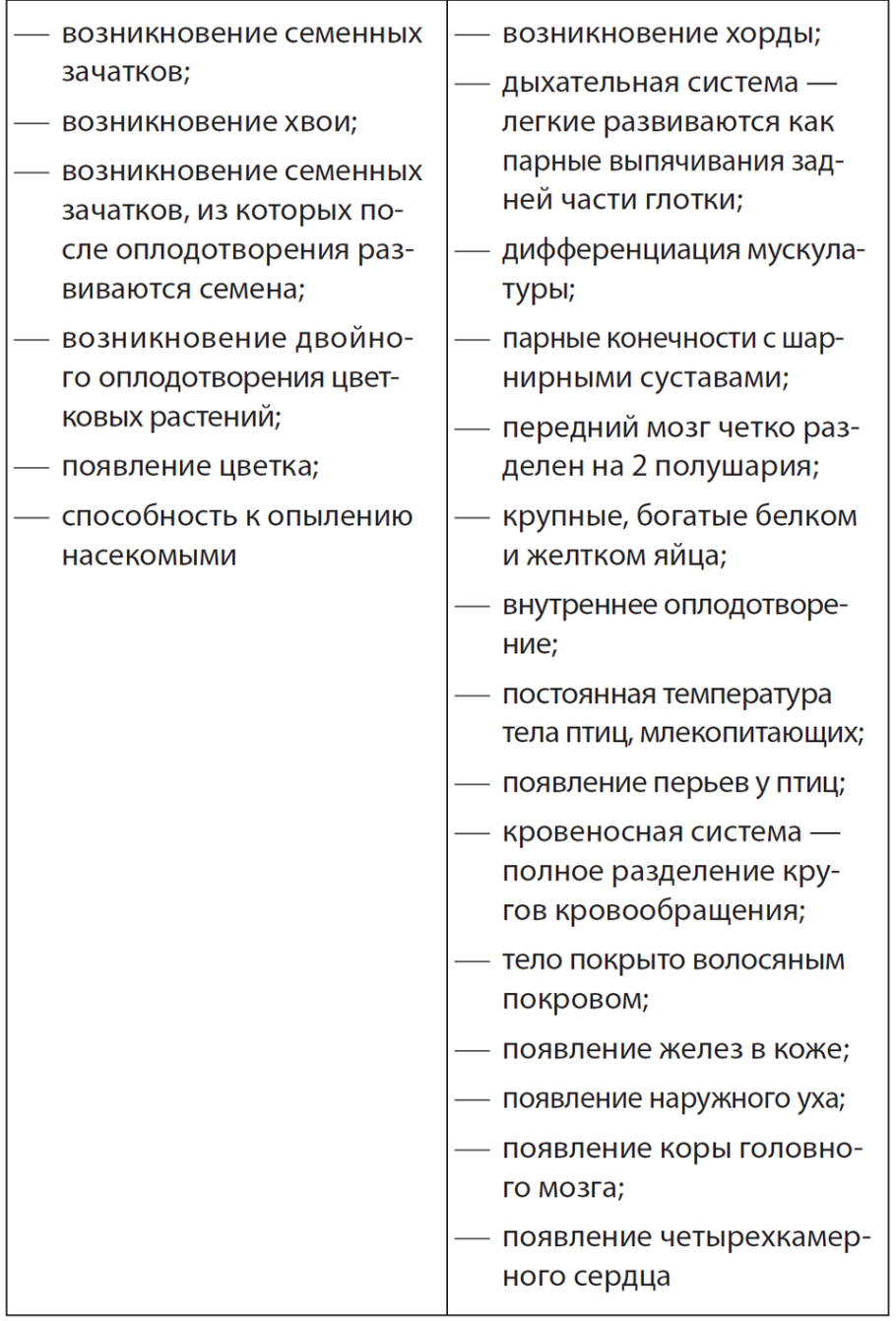 Заросток орляка