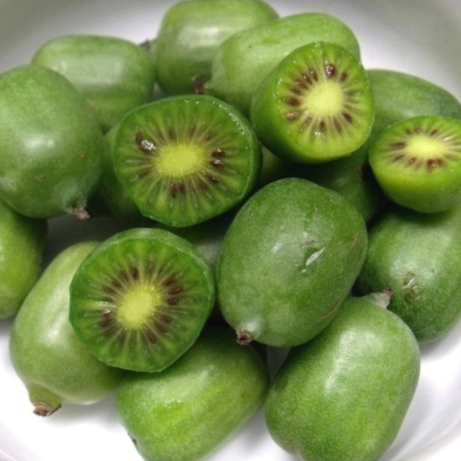 Актинидия аргута джамбо