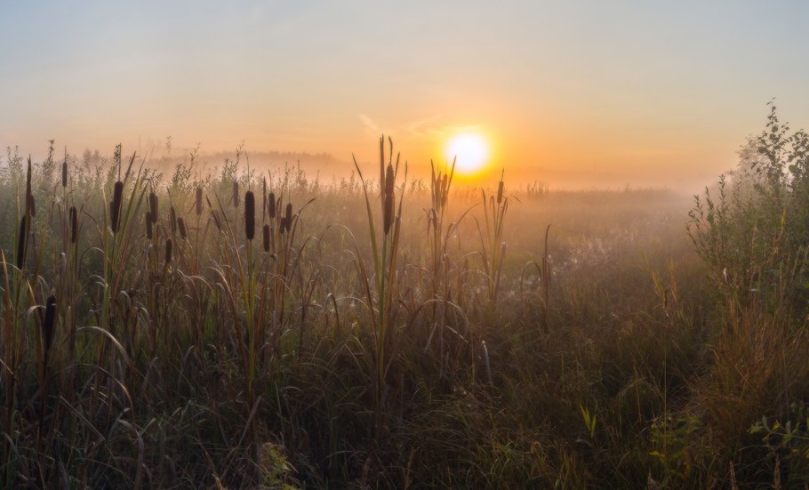 Природа в зеленых тонах