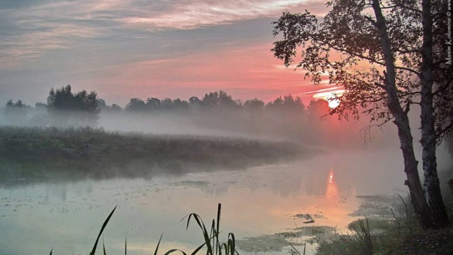 Златое затишье