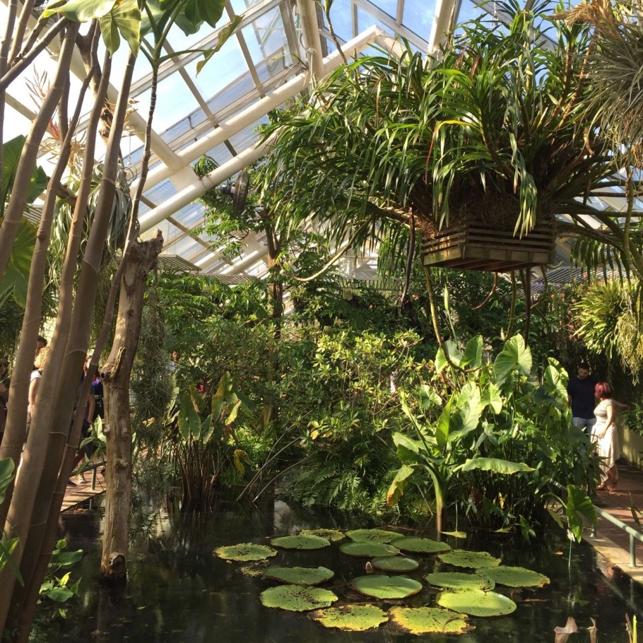 Ботанический сад в Леголенд