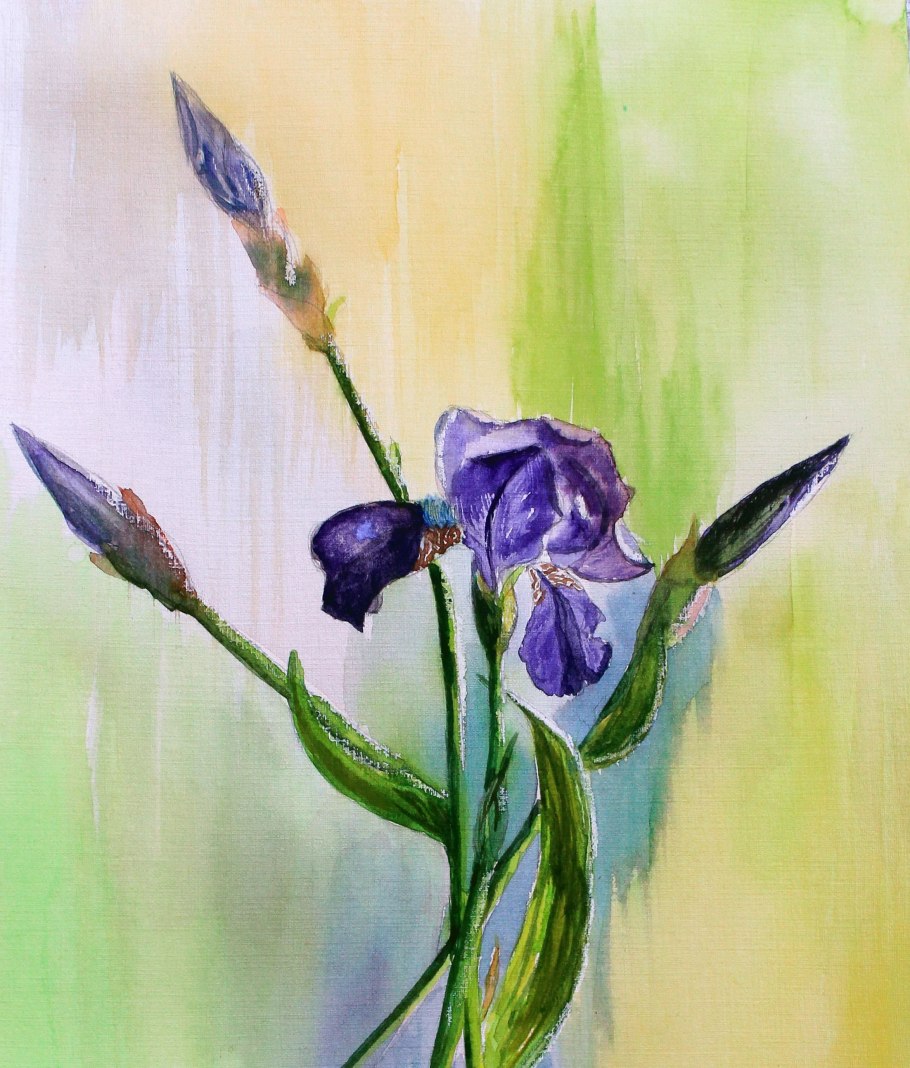 Ирисы акварелью