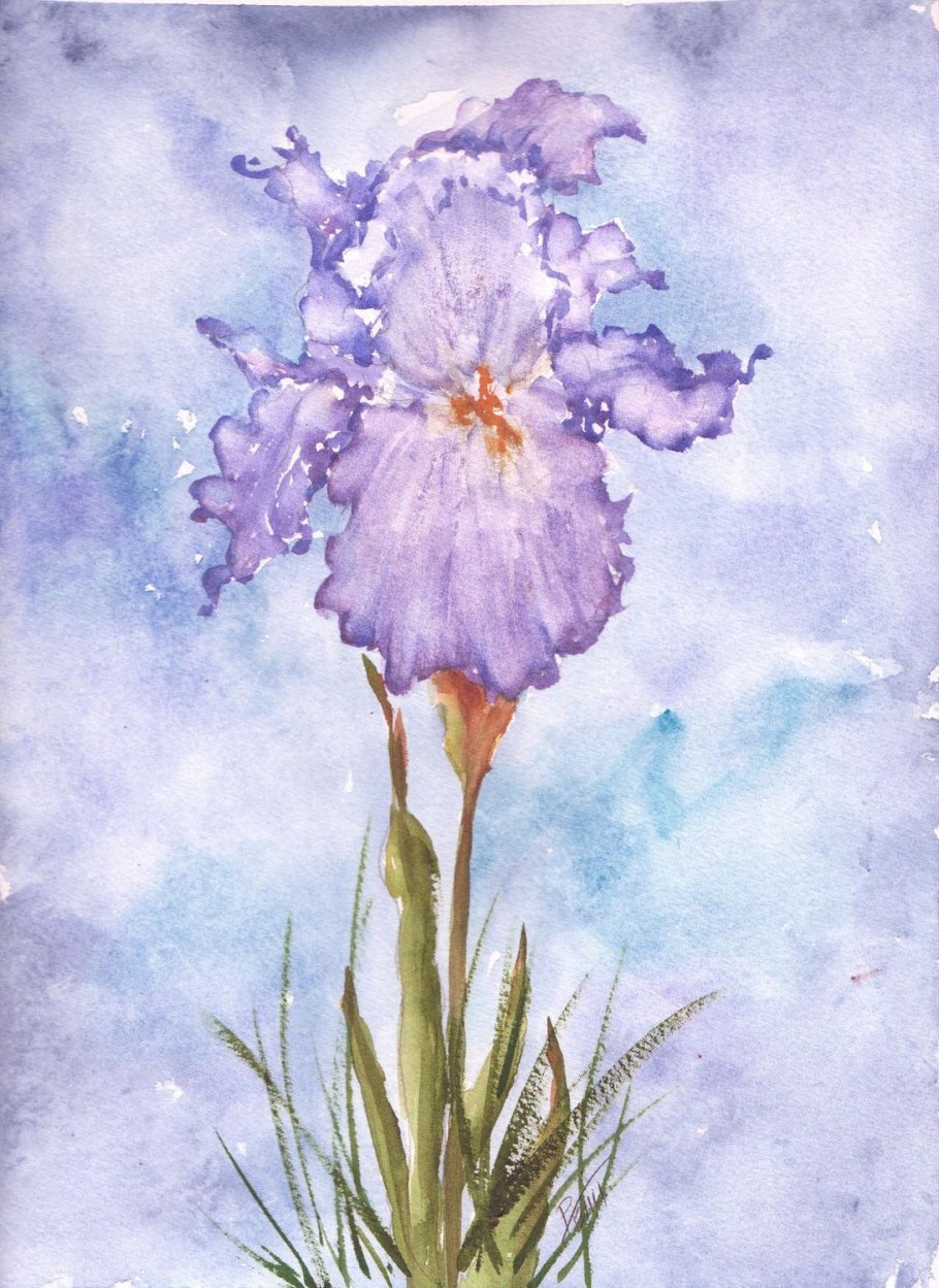Акварельные ирисы тату