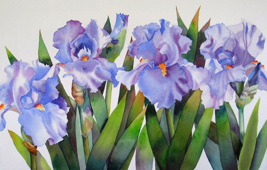 Ирис акварель