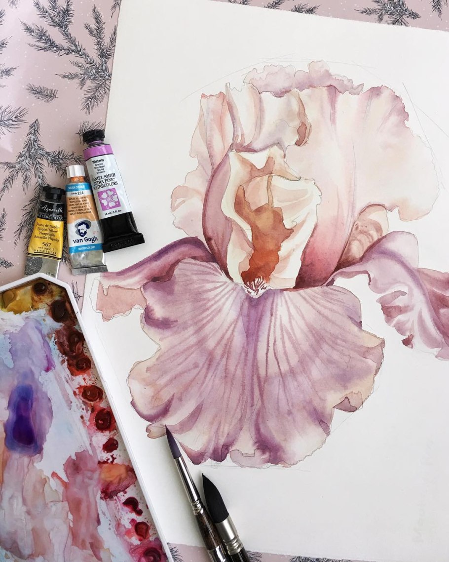 Ирисы акварелью Мари Берк