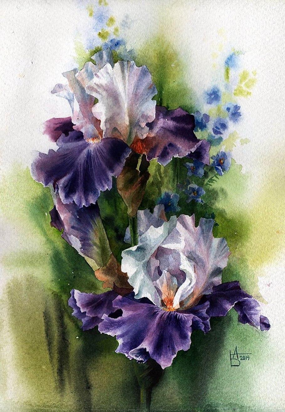 Ирис Oil Painting