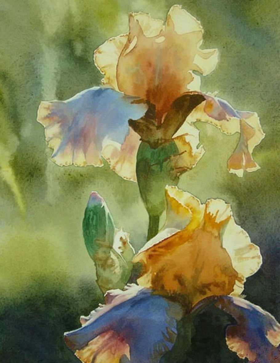 Ирисы акварелью для начинающих