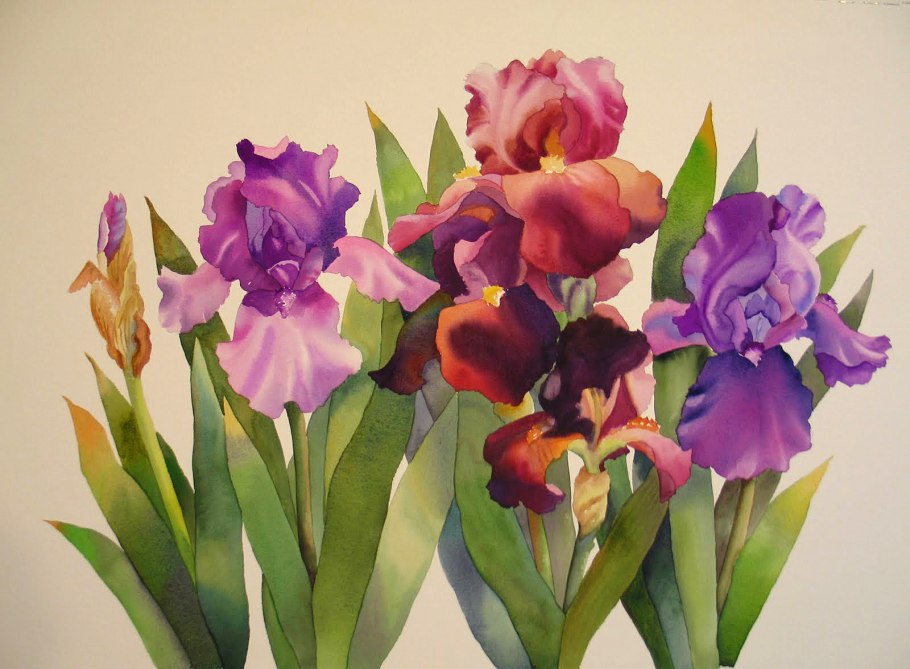 Ирисы живопись Скрипченко