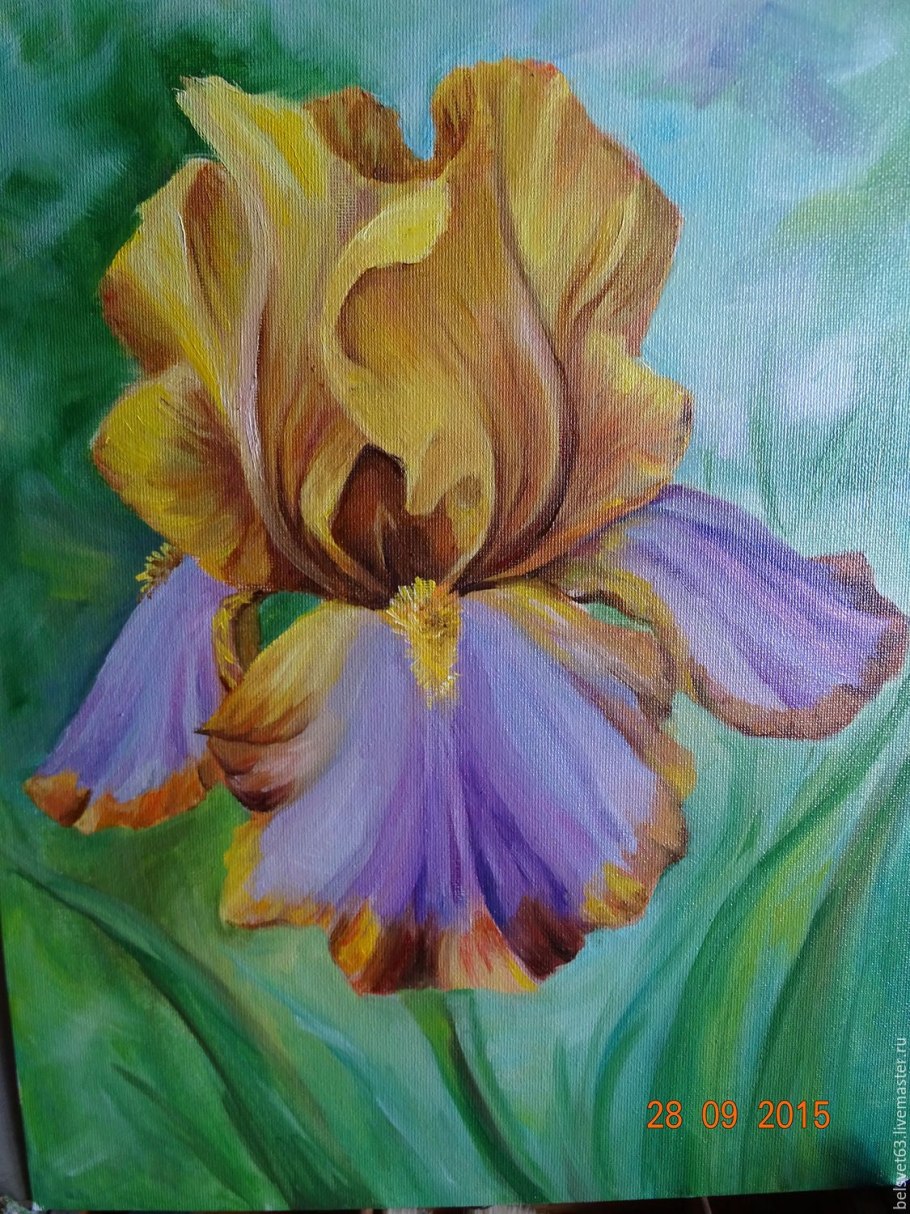 Ирисы акварелью